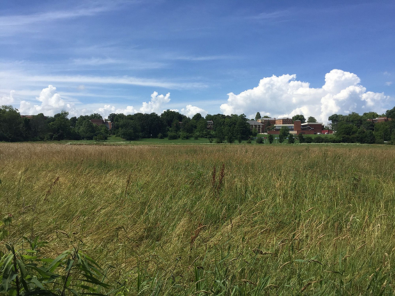 Landscape image